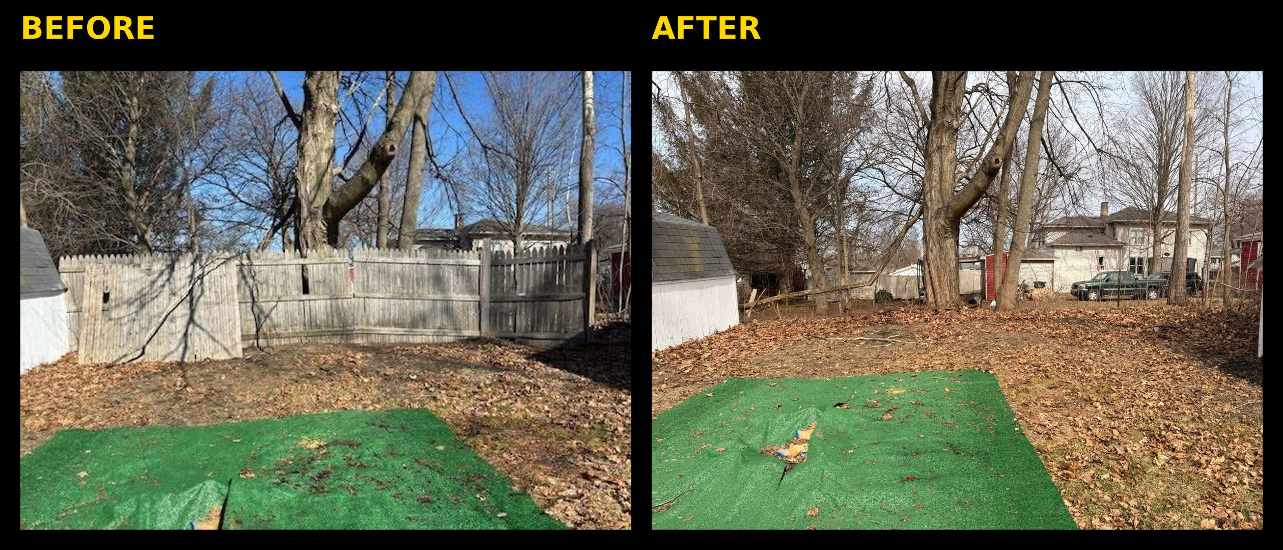 Before & After 5